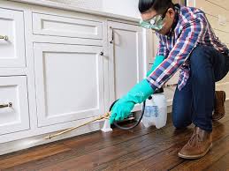 Best Residential Pest Control  in Lake Leann, MI