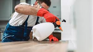 Professional Pest control in Lake Leann, MI